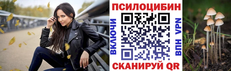 купить наркоту  blacksprut вход  Псилоцибиновые грибы мухоморы  Бородино 